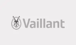 标志 Vaillant