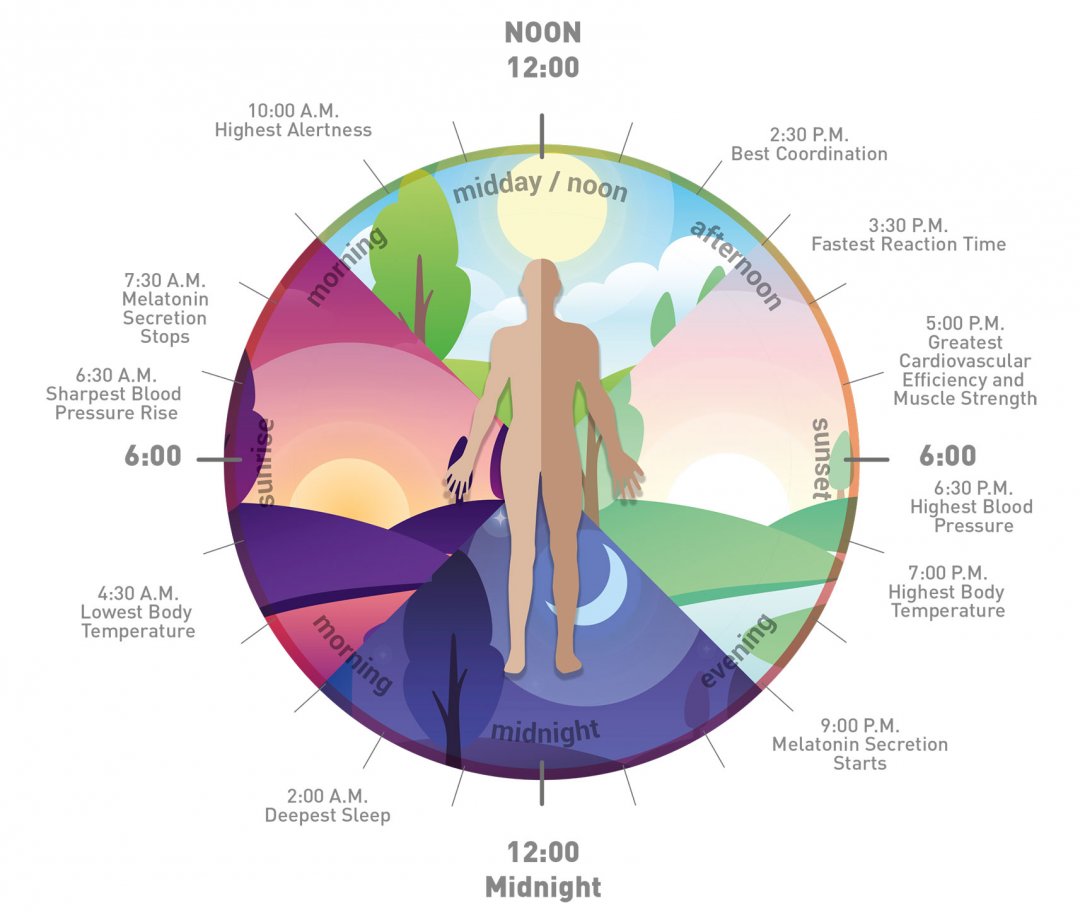 tunable-white-lighting-effects-on-circadian-rhythm-loxone-blog